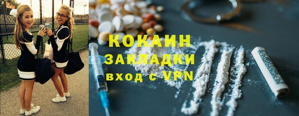 твердый Осташков