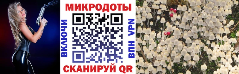 Галлюциногенные грибы ЛСД  Мосальск 